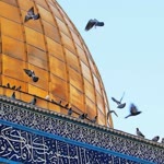 Şüheda