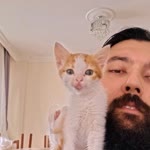 Umut