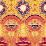 Anil