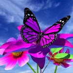 Arzu
