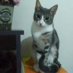 İntizar