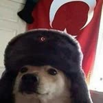 Bayram