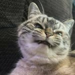 Furkan