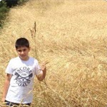 Efe
