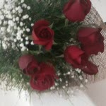 Damla