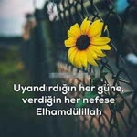 Duygu