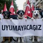 Zuhal