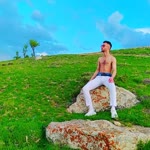 Hayri