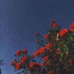 Şeyma