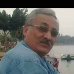 Doğan