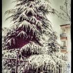 Nisan