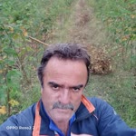 Cengiz