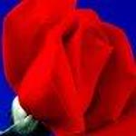 Dilek