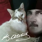 Mucize