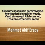 Yigit