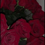 Elif