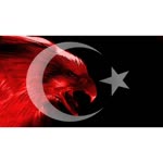 Nihat