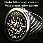 Şahin