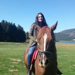 Duygu
