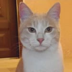 Hüseyin