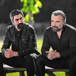 Doğan