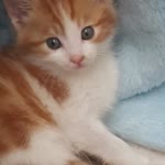 Muzaffer