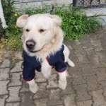 Umutcan