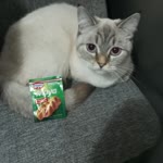 Kuzey