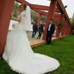 Hande
