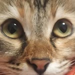Zeynep
