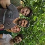 Turgut