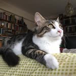 Yusuf