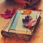 Kitap