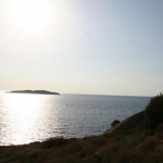 Gül