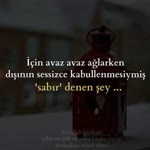Mücahit