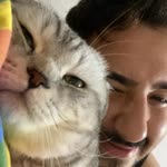 Mert