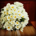 Fatma
