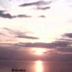 Yigit