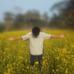 Xn Rafi