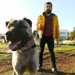 Samet
