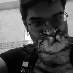 Mete