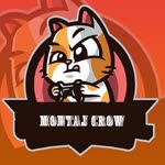 Montaj