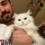 Ali