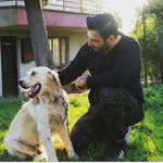 Alper