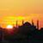Murat