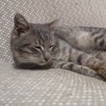Furkan