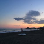 Fulya