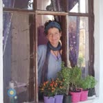 Hande