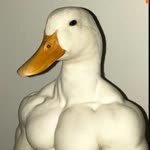 Özgürcan
