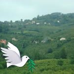 Hizir